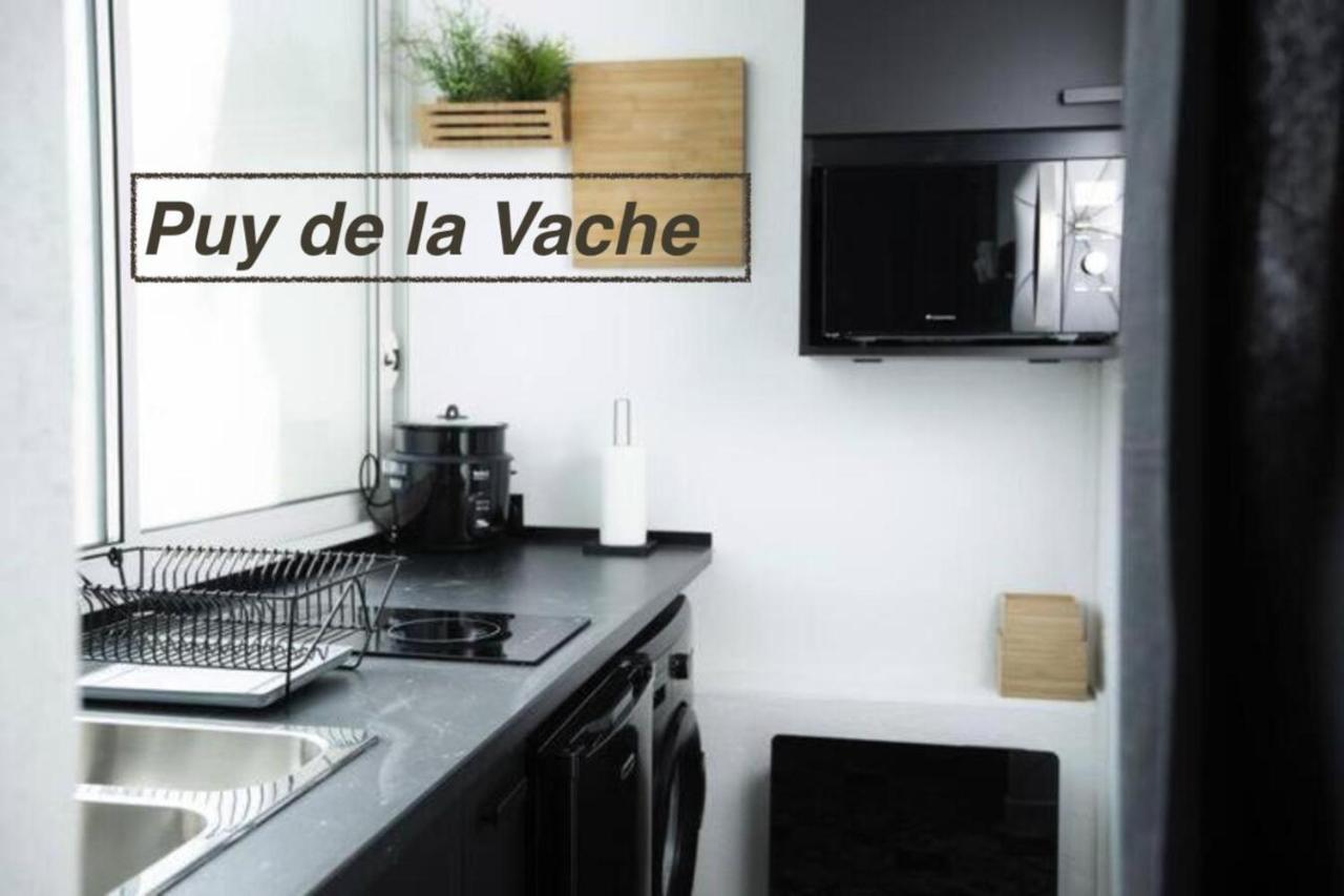 Logements Chaine Des Puys Avec Garages Attenants Clermont-Ferrand Exteriör bild