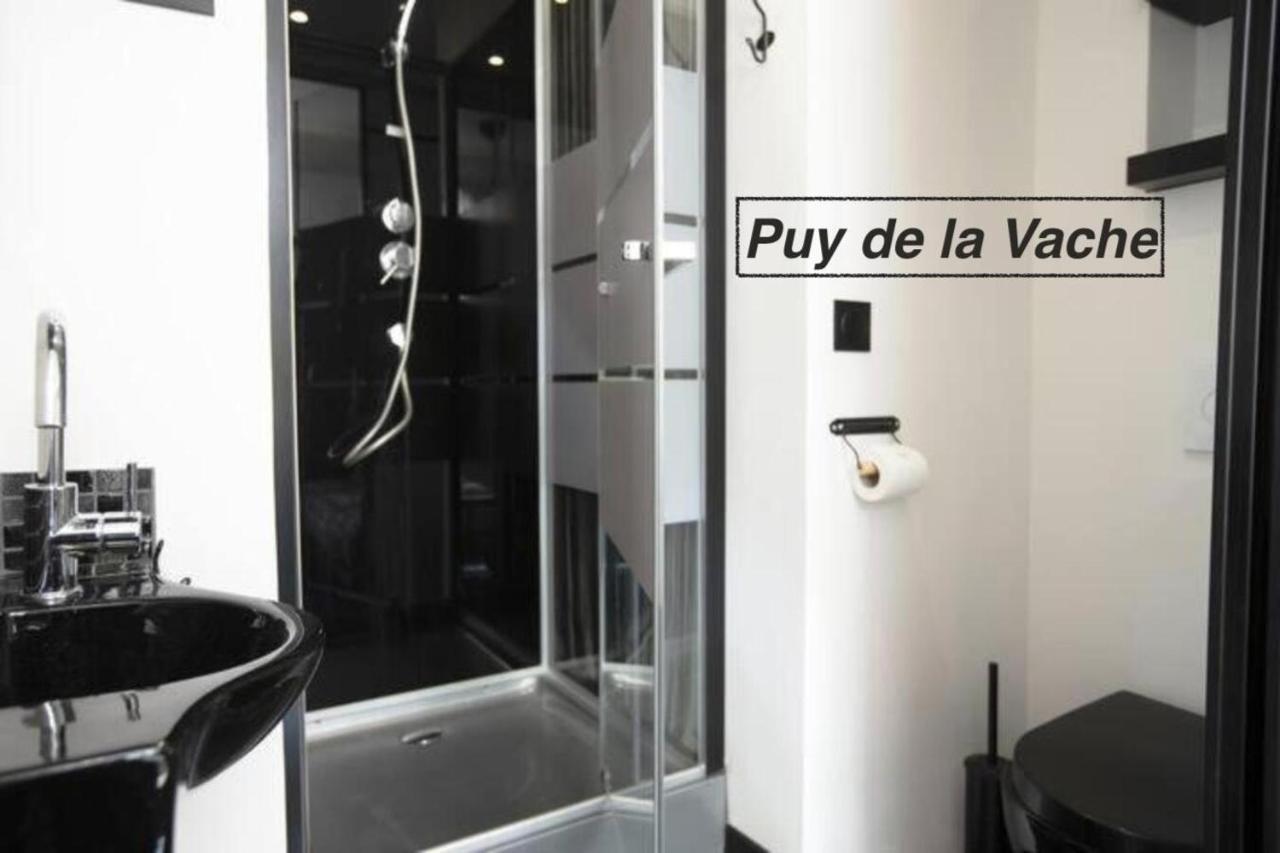 Logements Chaine Des Puys Avec Garages Attenants Clermont-Ferrand Exteriör bild